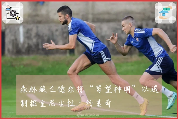 森林狼兰德尔将“寄望神明”以遏制掘金尼古拉·约基奇